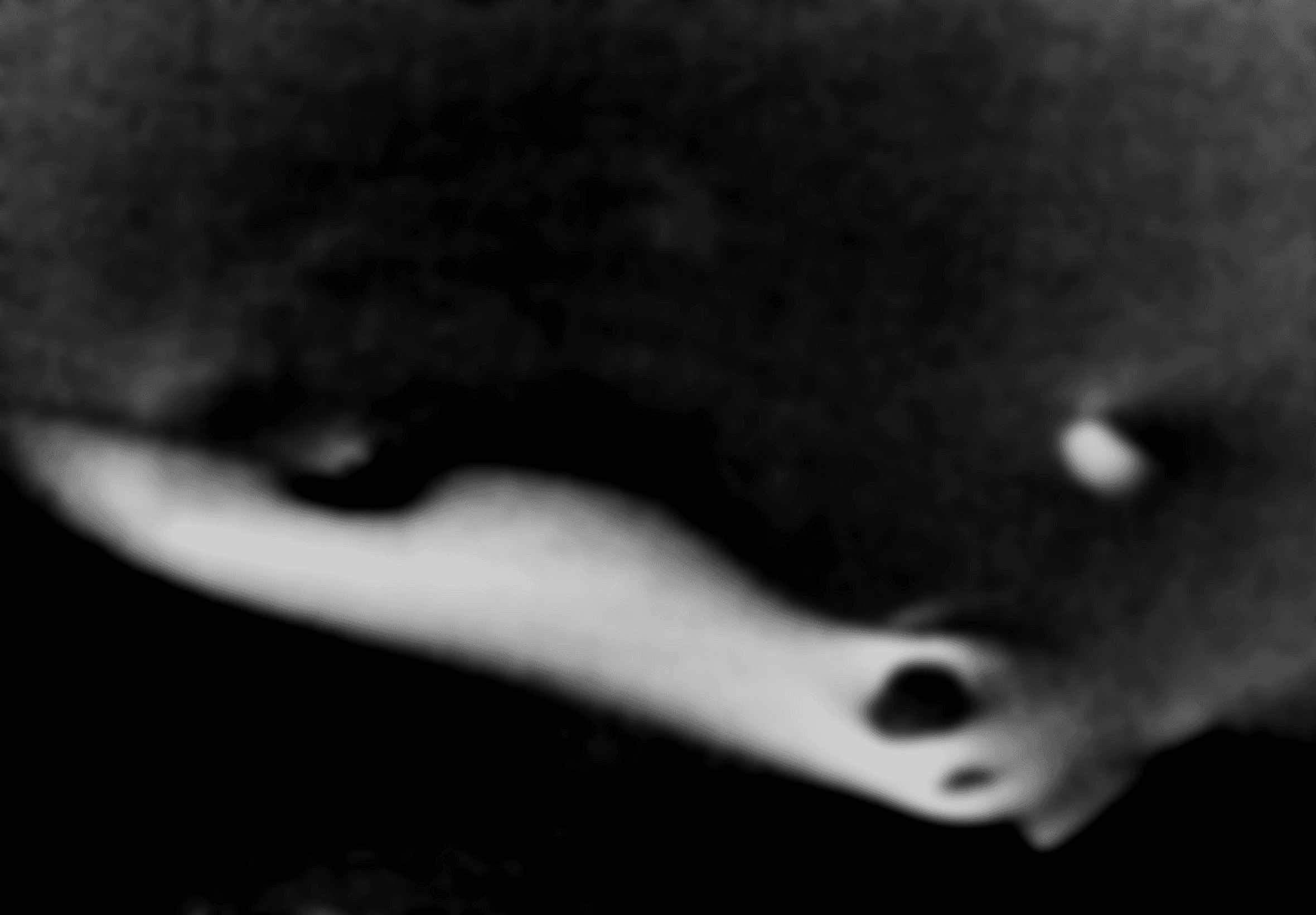 Private event performance